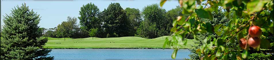 Golf Course Image