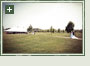 Wedding Photos On Golf Course