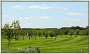 Golf Course Image