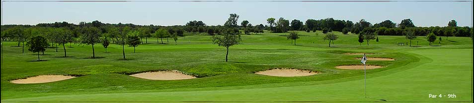 Golf Course Image